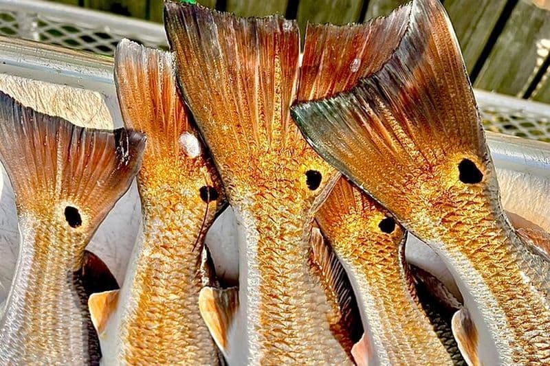 Triple Délice Trois Personnes Bay Voyage de pêche à South Padre
