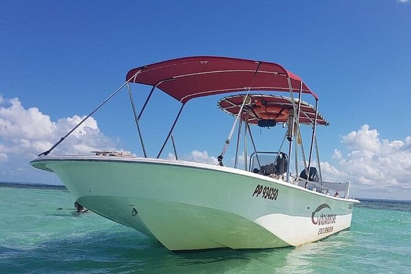 Excursion en Bateau visite Mangroves, ilets et lagon