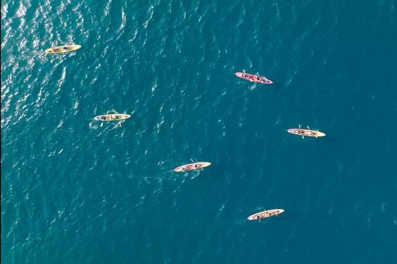 Explorez Point Reyes par Sea Kayak