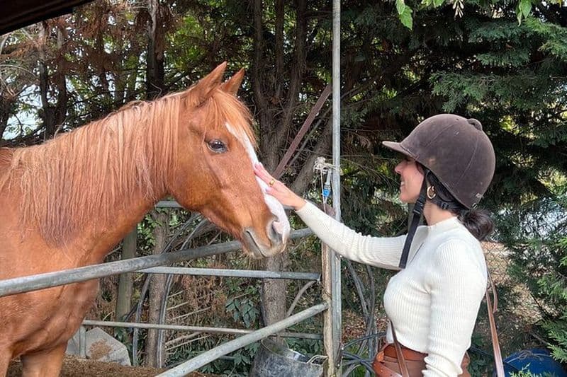 Excursion à cheval dans les collines du Chianti en Toscane