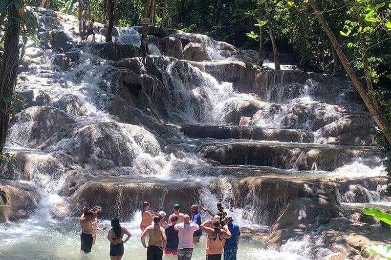 Dunn's River Falls, aventure en tyrolienne au départ de Kingston
