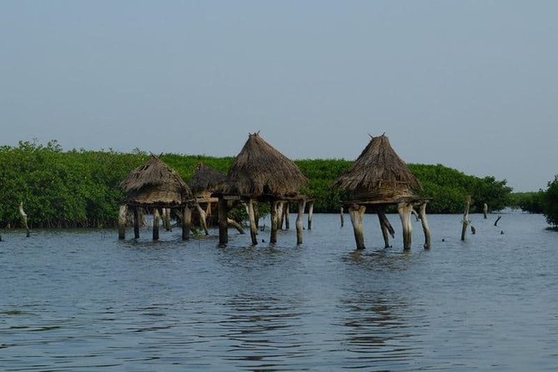 Votre chauffeur privé et guide touristique au Sénégal - l'île aux coquillages