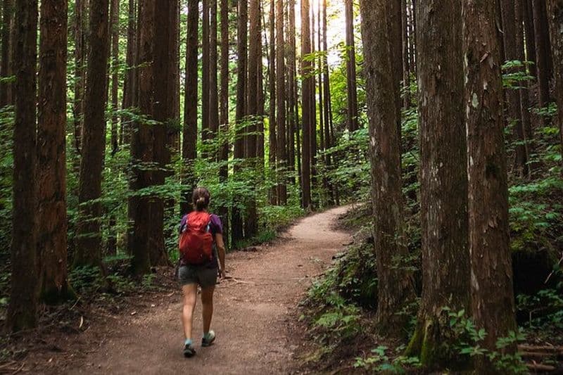 Randonnée de Magome à Tsumago au départ de Nagoya
