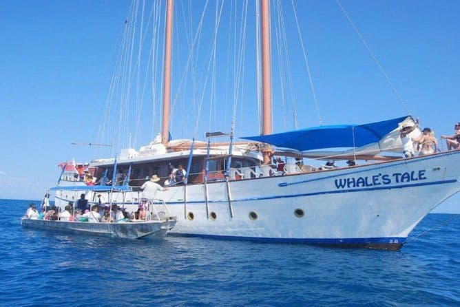 Croisière Whales Tale d'une journée complète aux îles Fidji et Snorkel, inclus déjeuner-barbecue sur la plage