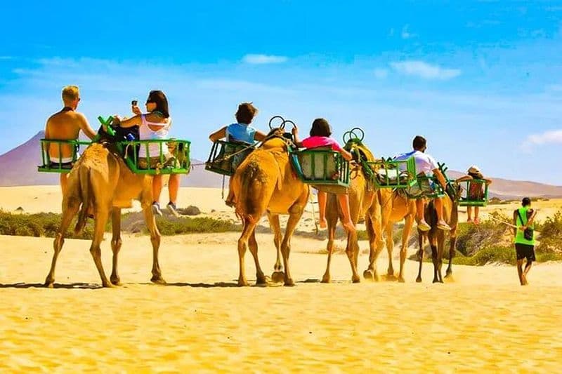 E-Bike City Tour avec inclus Camel Tour à l'intérieur de Maspalomas Dunes