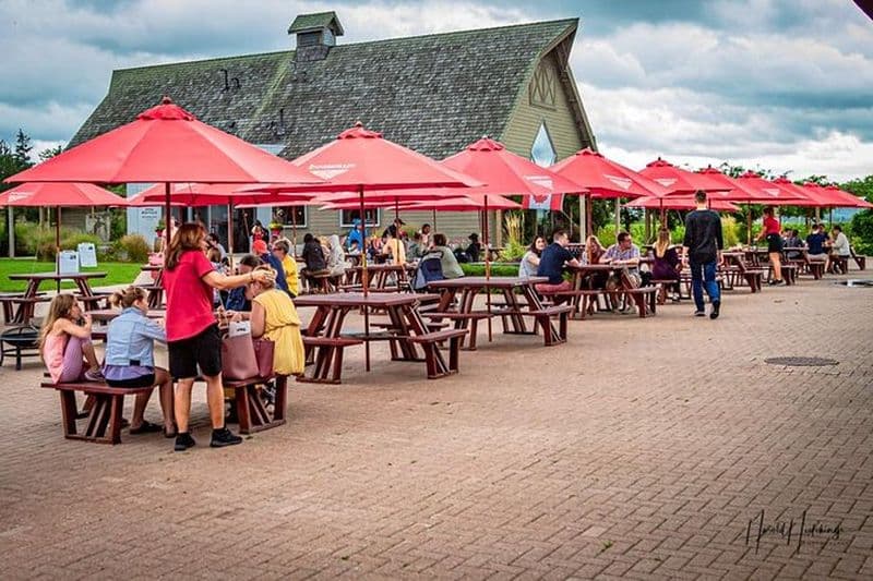 Excursion d'une journée privée personnalisable au Niagara avec vins, bières et spiritueux