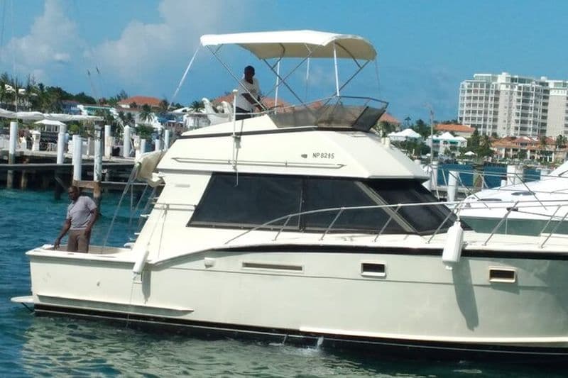 Bahamas Pêche en haute mer