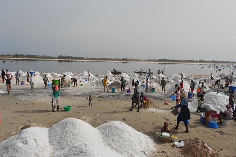 Découvrez Dakar-Gorée-Pink Lake-Safari Tour en 2 jours