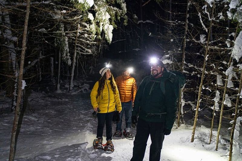 Aventure nocturne en raquettes au parc de la Gatineau et souper - D'Ottawa et de Gatineau