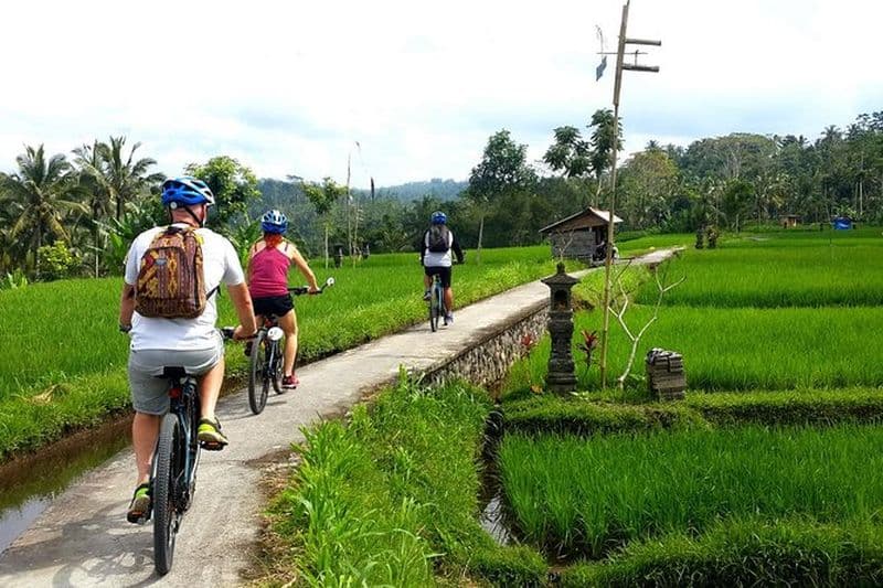 Excursion en vélo électrique d'une demi-journée à Ubud