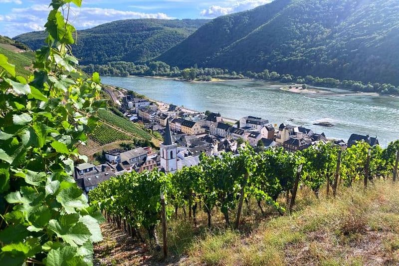 Visite de dégustation de vins de la vallée du Rhin au départ de Francfort et de Mayence