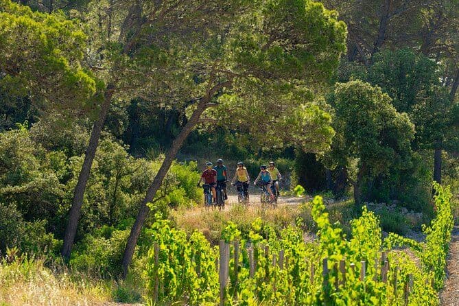 Balades Guidées à VTT Electrique et Dégustation en Pic Saint Loup