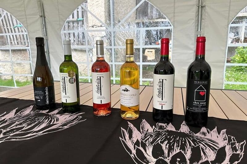 Dégustation de vin au Château Lestevenie