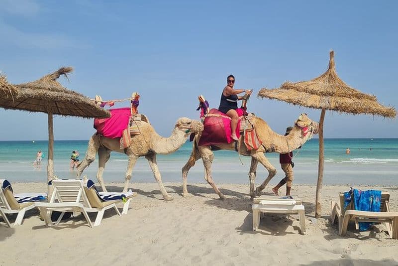 Balade en Duo avec le Taxi Poilu des Plages Idylliques de Djerba