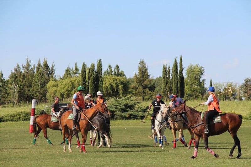 Équitation et Polo à Buenos Aires