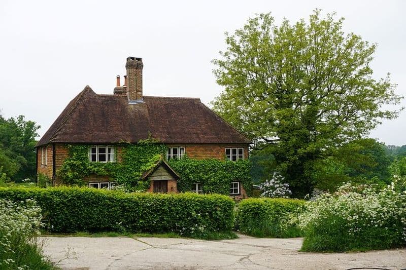 Cours de cuisine de la ferme à la table dans le Sussex avec visite des producteurs locaux