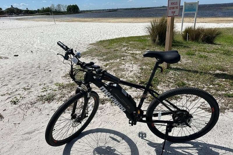 Visite libre au bord du lac en vélo électrique à Kissimmee (3 heures.)