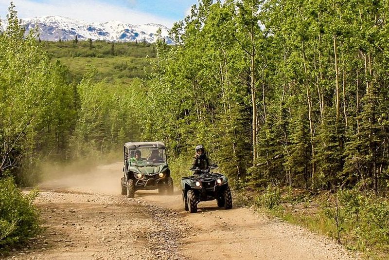 2,5 - Visite d'aventure en VTT Denali Wilderness d'une heure