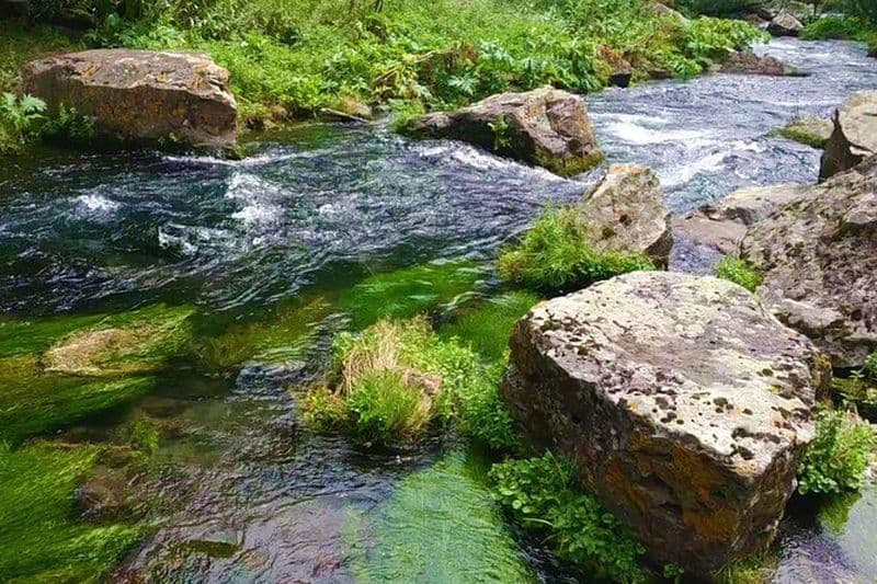 Excursion de pêche au départ de Tbilissi