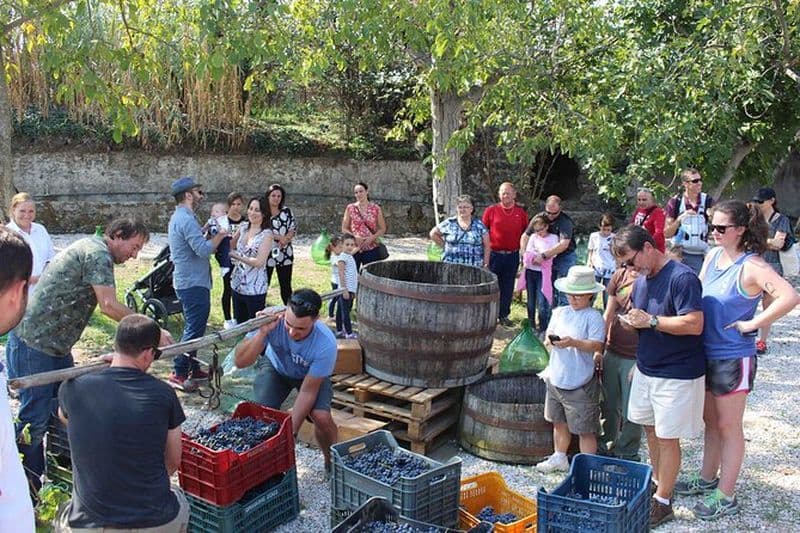 Visite de dégustation de vins de Pompéi au départ de Positano