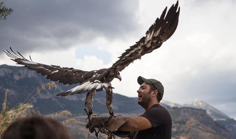 CIVITA EXPERIENCE Borgo Gole Mountain et ... RAPACI del Pollino