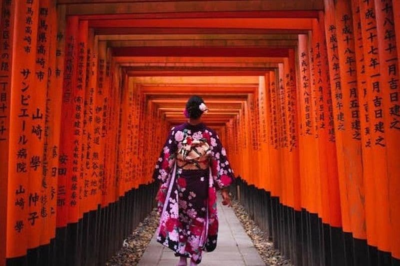 Depuis Osaka/Kyoto : Excursion privée d'une journée à Kyoto et Nara avec pick-up