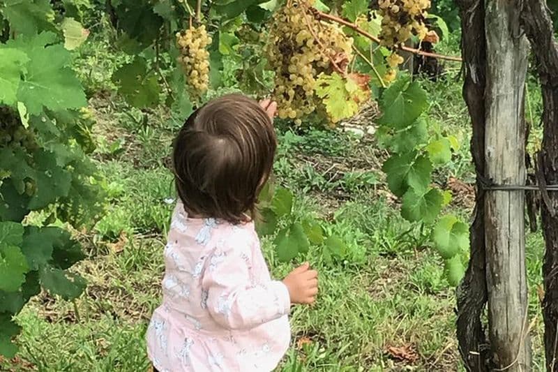 Billet Visite œnologique avec dégustation de vins