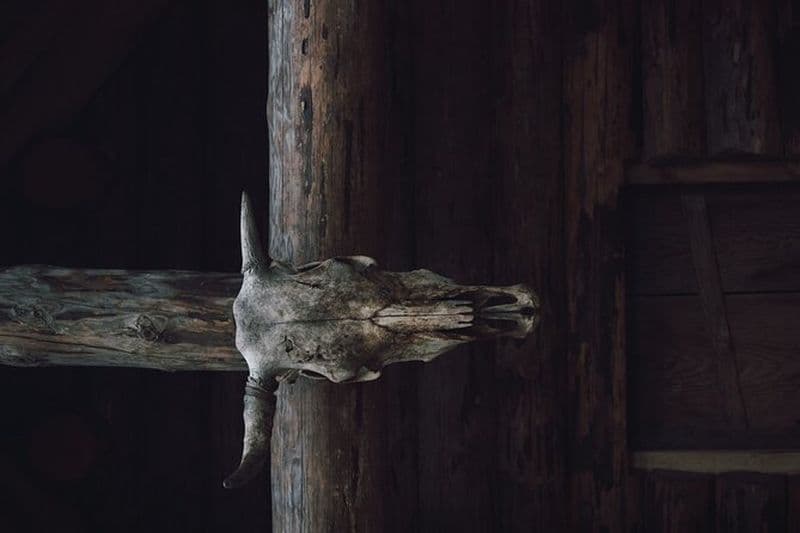 Escape Game : Le Temple Caché d'Odin