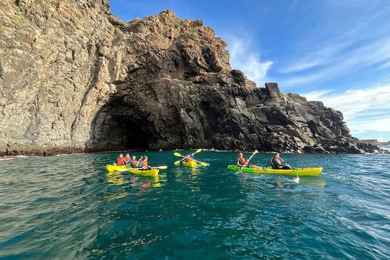 Excursion en kayak dans le sud de Tenerife