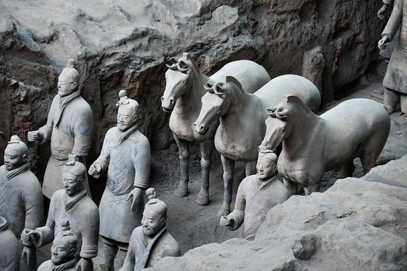 Visite privée personnalisée du musée des guerriers et des chevaux en terre cuite de Xi'an avec option de visite guidée