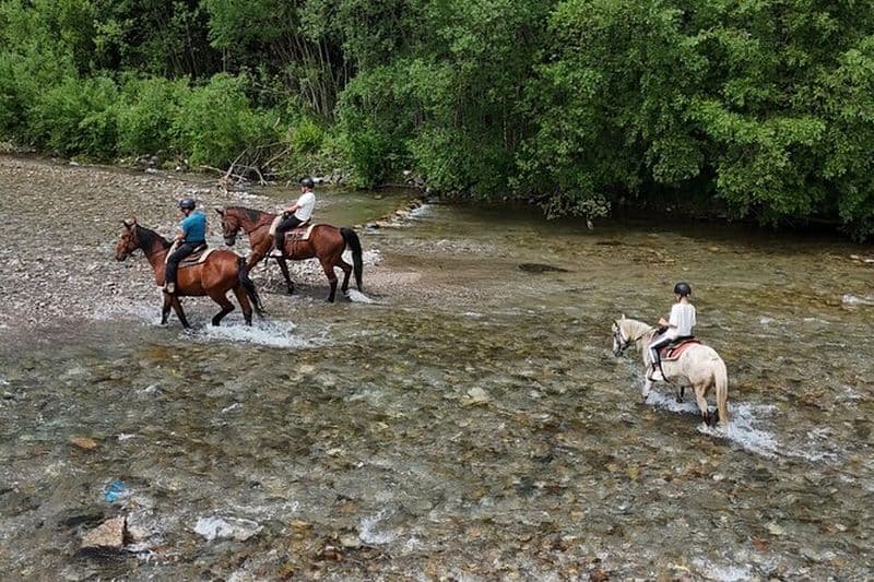 Zakopane Équitation et thermes journée complète au départ de Cracovie