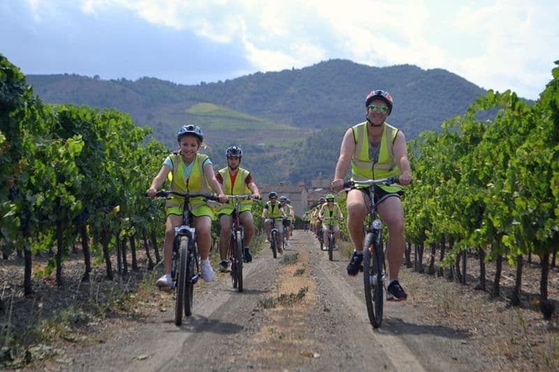 L'évasion du raisin! Faire du vélo dans de beaux paysages avec dégustation de vin