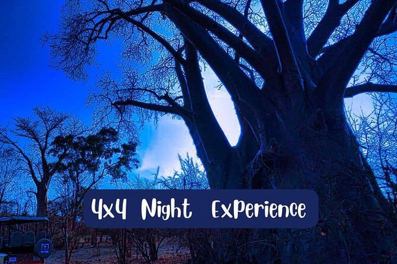 Expérience nocturne unique en 4x4 *limité-unique-petit groupe**