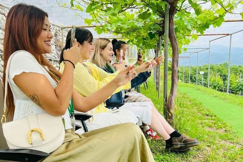 Visite privée de dégustation de vin dans la préfecture de Yamanashi
