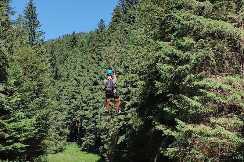 Brasov: Bear Sanctuary & 7 Leaders Canyon avec tyrolienne incluse