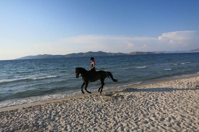 Expérience d'équitation sur la plage avec moniteur