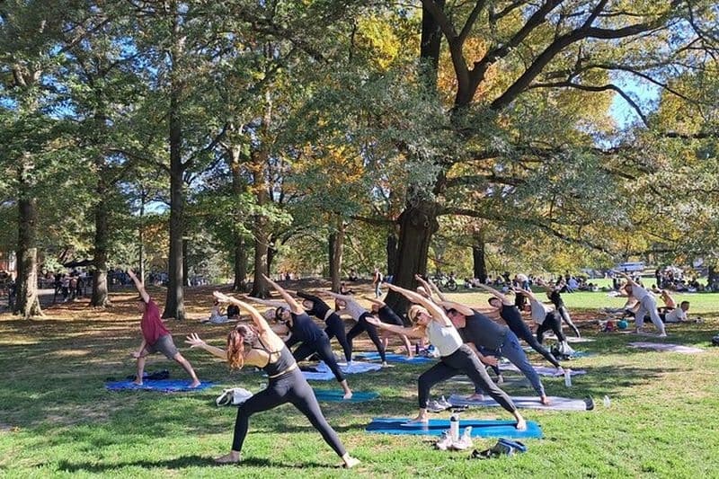 Cours de yoga en groupe d'une heure à Central Park
