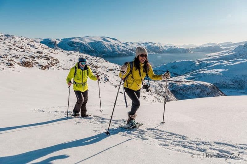 Excursion en raquettes en petit groupe au départ de Tromso