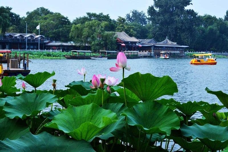 Billet Visite privée à pied de hutong de 3 heures avec spectacle de tambour à la tour de tambour et dégustation de thé