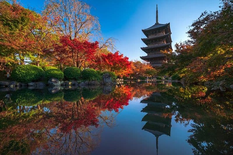 Excursion en taxi, temple Toji, mille kannon et sushis