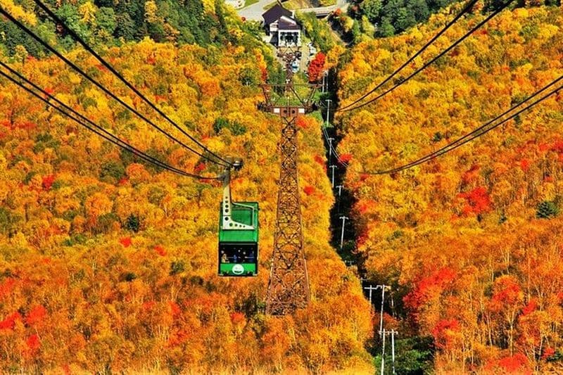 Kurodake Ropeway, visite en bus des feuilles d'automne du zoo d'Asahiyama