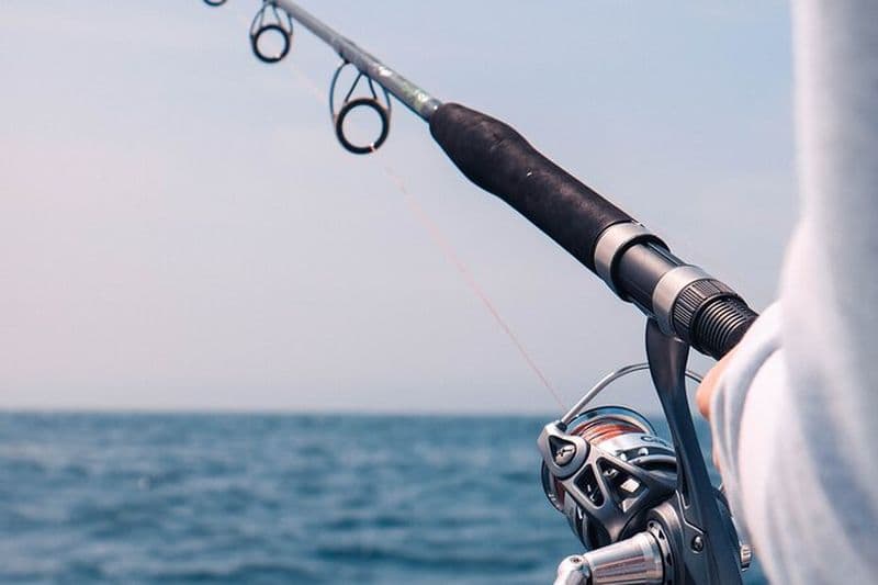 Billet Sortie de Pêche en Mer autour du Phare du Cordouan