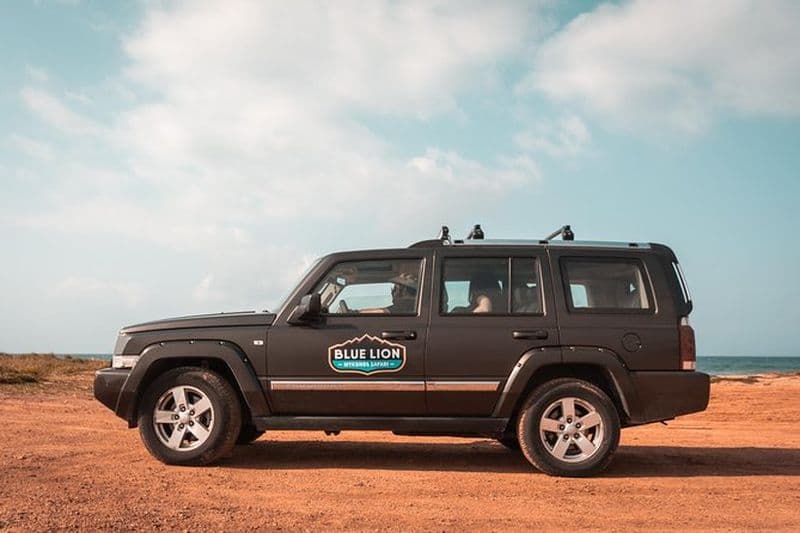 Visite privée du matin à Mykonos Safari avec chauffeur personnel