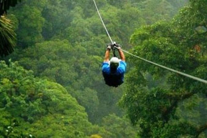 Excursion d'une journée à la forêt de Kereita et tyrolienne