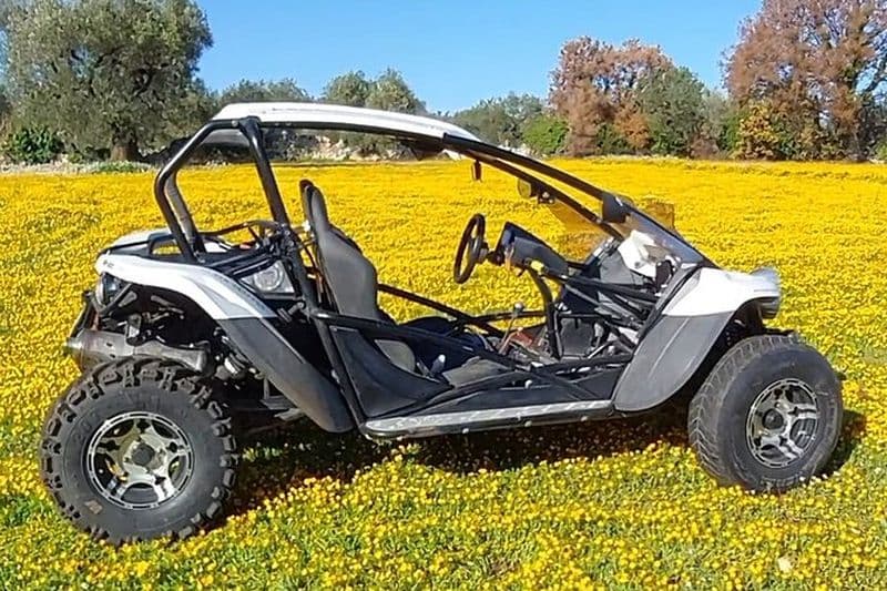 Excursions en buggy, en quad et en side-by-side