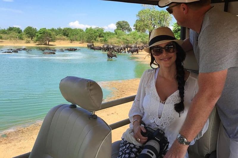 Parc national d'UDAWALAWA Visite TOUT INCLUS avec PICK UP INCLUS