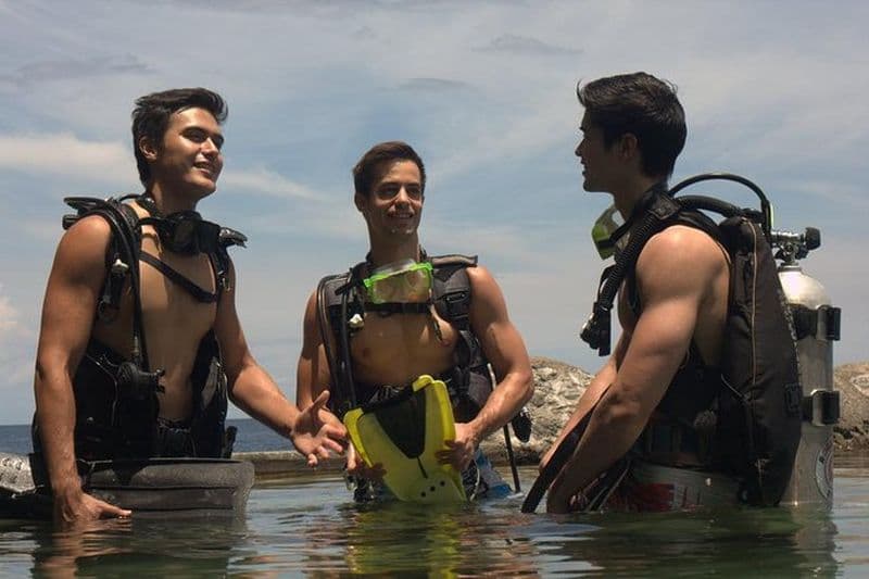 Forfait de plongée d'une journée à Anilao au départ de Manille