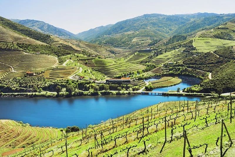 Excursion authentique du vin du Douro en petit groupe avec déjeuner et croisière fluviale