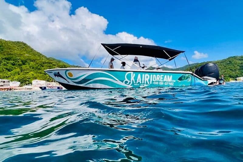 Billet Martinique : Matinée Dauphins