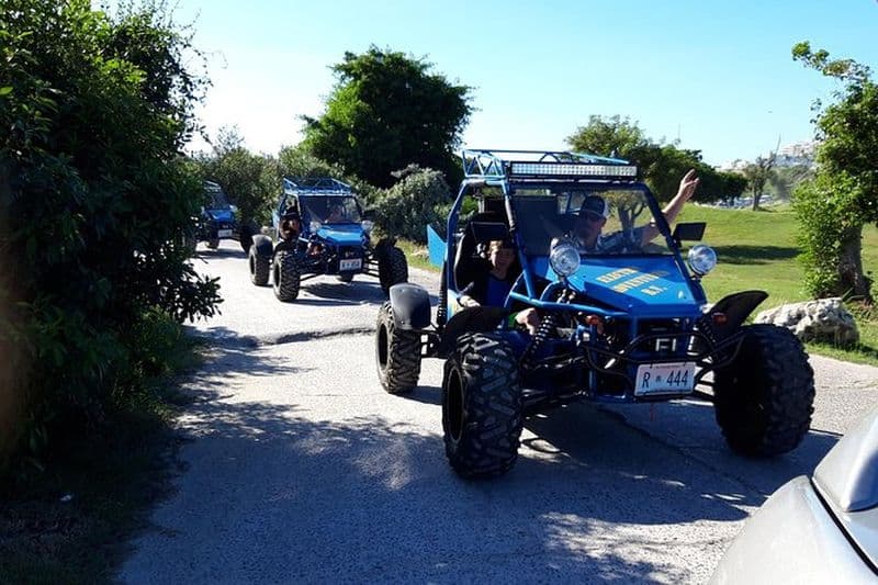 Electric Adventures Buggy Rental